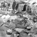 Lipniki_massacre