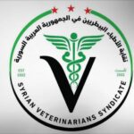 IMAGE 2026-02-10 21:12:59