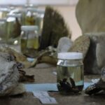 IMAGE 2026-02-11 19:18:48