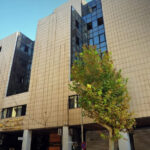 photo_2026-02-11_22-44-39