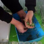 IMAGE 2026-03-07 22:16:01