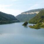 IMAGE 2026-03-17 22:57:01