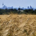 IMAGE 2026-03-26 13:00:22