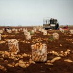 IMAGE 2026-03-30 19:46:03