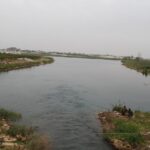 IMAGE 2026-03-30 20:05:34