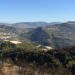 IMAGE 2026-03-31 23:36:23