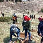 IMAGE 2026-04-07 11:40:34