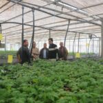 IMAGE 2026-04-17 20:39:13