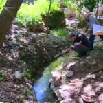 IMAGE 2026-04-27 21:40:18